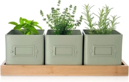 GREENISH ürdipottide komplekt alusega, 3 tk