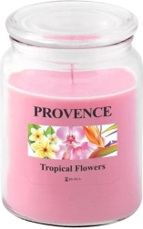 Lõhnaküünal klaasis PROVENCE troopilised lilled 95 tundi