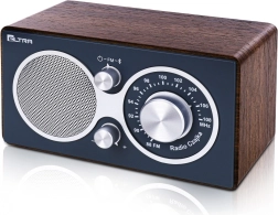 Bluetooth-raadio CZAJKA, hall puit