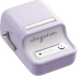 Kaasaskantav termiline sildiprinter NIIMBOT B21 Pro, lilla