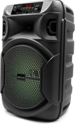 Bluetooth-kõlar Squeak PulseTower karaokega, 1000 W
