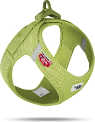 Curli koerarakmed klambriga Air-Mesh materjalist, laimiroheline 2XS (2–4 kg)
