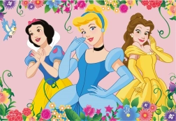 Disney printsesside lastepusle 48 tükki