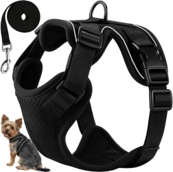 Purlovi survevabad traksid koertele ja kassidele S koos rihmaga