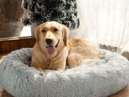 Plüüsist pesa kassidele ja väikestele koertele 50 cm – Hall