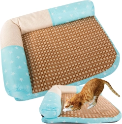 Magamisalus ja kraapimisalus kassidele