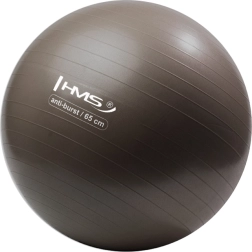 Võimlemispall HMS 65 cm pronks