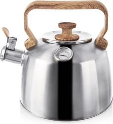 Terasest teekann vile ja termomeetriga 3,2 l