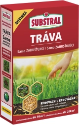 Isetihenev renoveeriv muruseemnesegu EVERGREEN 1 kg