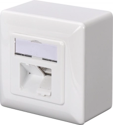 Varjestatud CAT 6A seinavõrgupesa 2x RJ45