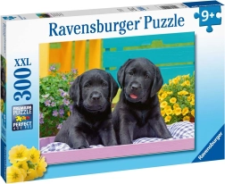 Ravensburgeri pusle Puppy Life 300 tükki