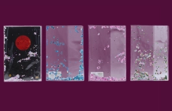 Glitterist A4 vihiku ümbris