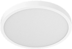 Nutikas laevalgusti XIAOMI Smart Ceiling Light D40