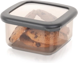 Ruutkujuline kuivainete karp kaanega 400 ml