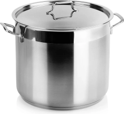Roostevabast terasest pott kaanega ANETT 28 cm, 14 l