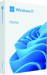 Windows 11 Home 64bit USB-mälupulk