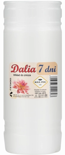 Dalia 19 cm parafiinsisude komplekt 10 tk (168 h)