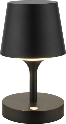 Õue LED-aiavalgusti Retlux RGL 117