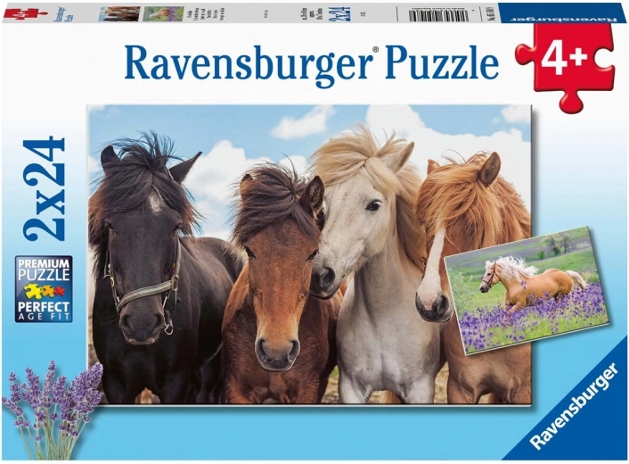 Ravensburger pusle Hobused 2×24 tükki