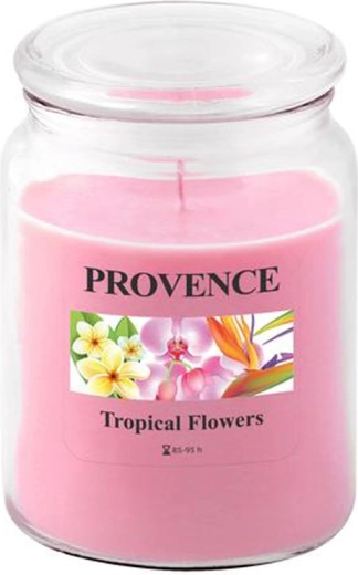 Lõhnaküünal klaasis PROVENCE troopilised lilled 95 tundi