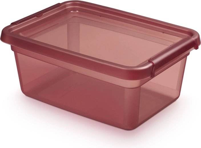 BASESTORE hoiustamisplastkarp kaane ja klambritega 12,5 l Rhubarb