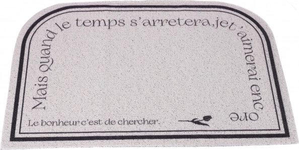 Carpet, doormat, non-slip entrance mat 60 x 90 cm type 2