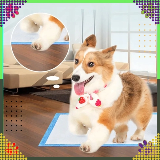 Mugavus kutsikatele ja vanematele koertele