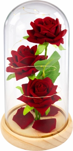 Elegantne klaaskuppel