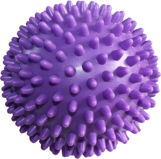 Merco Soft Massage Hedgehog with Spikes 9 cm Purple