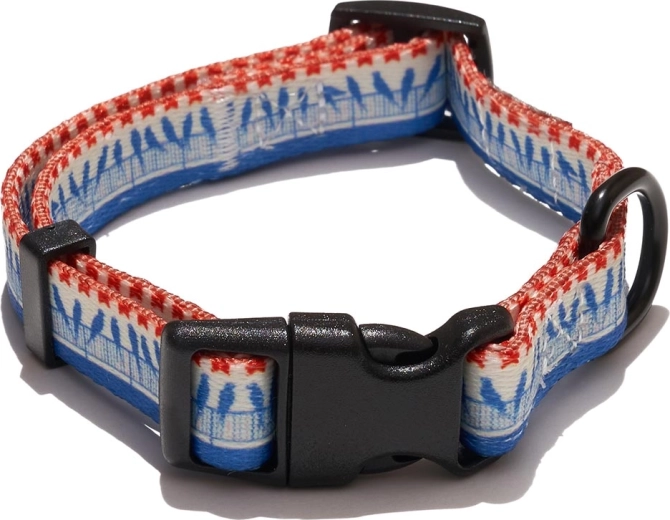Explorer Dog linnumotiividega koera kaelarihm suurus S (24–36 cm, laius 1,5 cm)