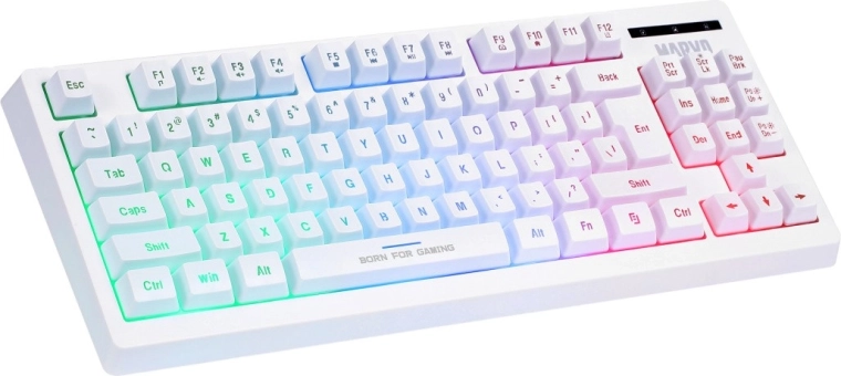 Compact TKL keyboard with backlighting