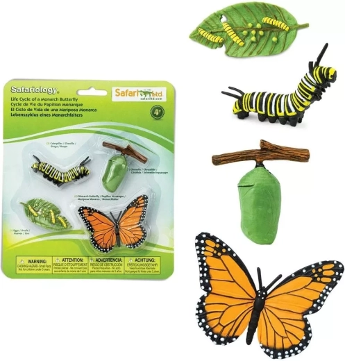 Safari Ltd. monarhliblika elutsükkel