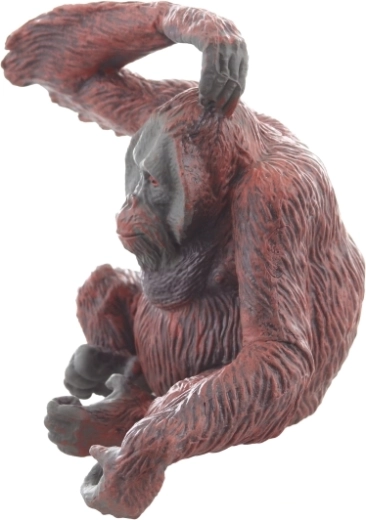 Stabiilne istuv asend väljapanekuks ja mänguks