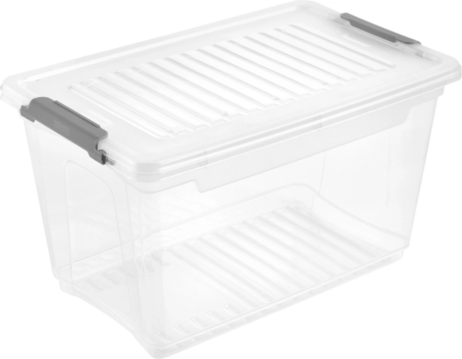 Plastikust hoiukast kaanega Leonie 5,4 l