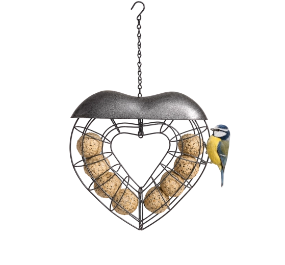 Designed for suet balls
