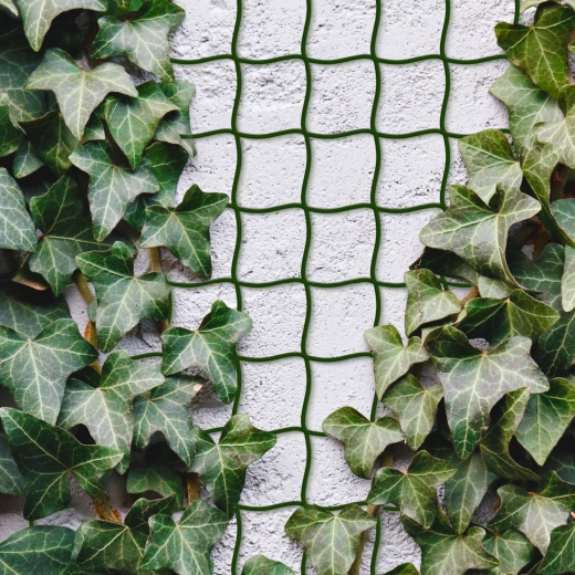 Net for Climbing Plants 5 m x 50 cm, Cuttable, Dark Green