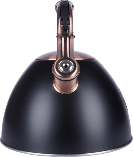 Kiire ja ökonoomne kuumutamine tänu akutermilisele põhjale