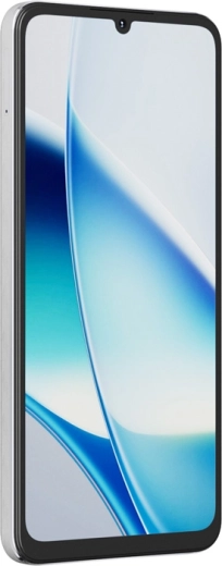 Large immersive display