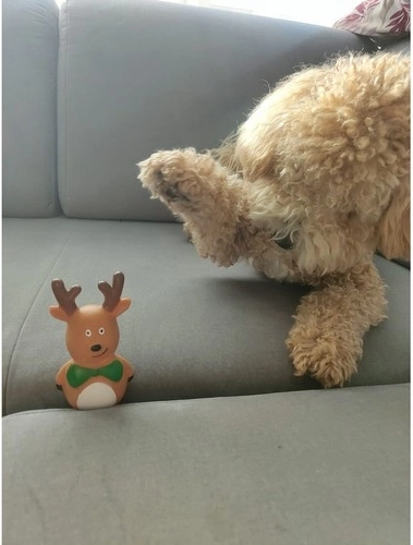 Squeaky figurines for greater motivation to play