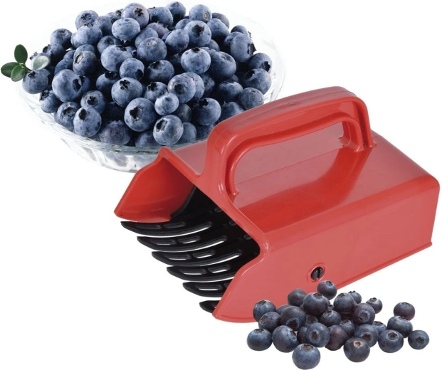 Efficient comb for fast picking