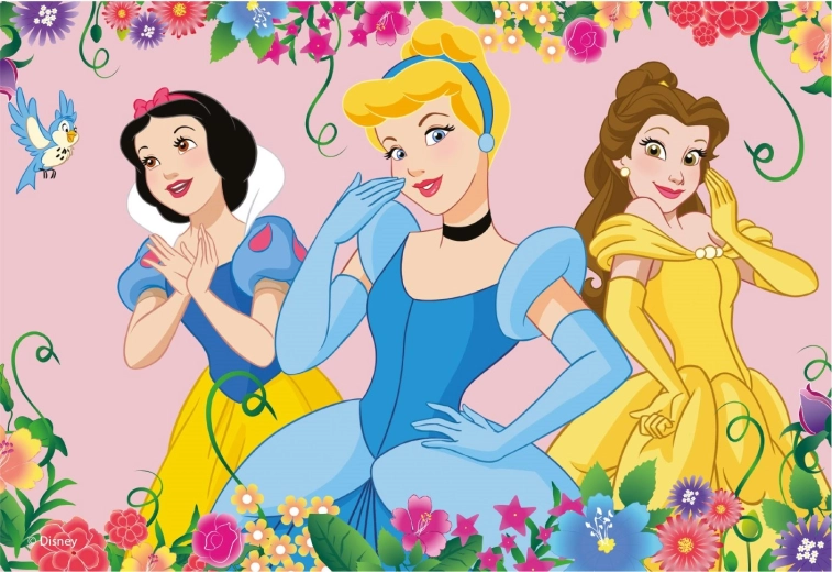 Disney printsesside lastepusle 48 tükki