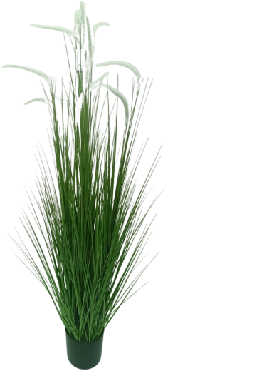 Kunstmuru potis Pennisetum, valge, 150 cm