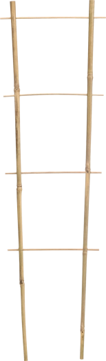 Kahekordne bambustugi ronitaimedele 45 cm