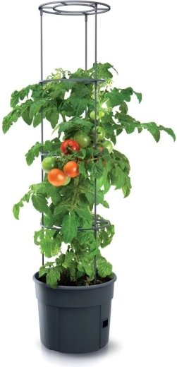 Ideaalne tomatitele ja teistele ronivatele kultuuridele
