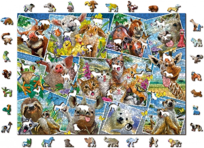 Värviküllane loomakollaaž – kaunis dekoor pärast kokkupanekut