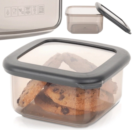 Läbipaistev korpus koheseks ülevaateks