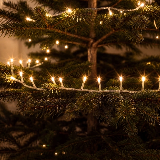Warm white light for a cosy atmosphere