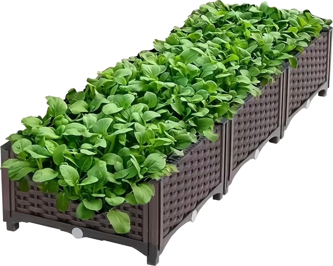 Mugav kasvatamine kõrgendatud kastis