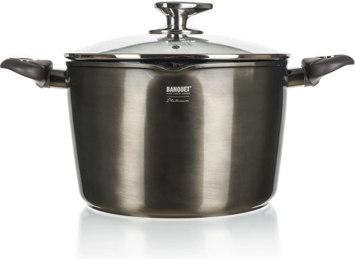 Nakkekindla pinnaga pott 6,2 l METALLIC PLATINUM, 24 cm klaaskaanega