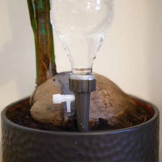 Stabiilne kinnitumine lillepotis